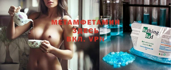 крисы Инта