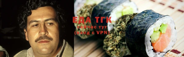 крисы Инта