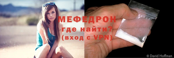 крисы Инта