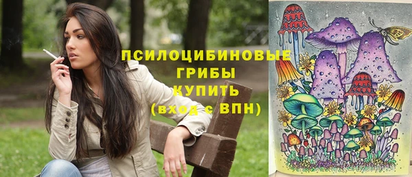 крисы Инта