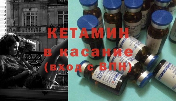 крисы Инта